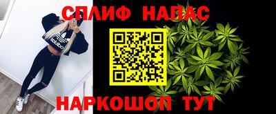 мдпв Партизанск