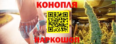 мдпв Партизанск