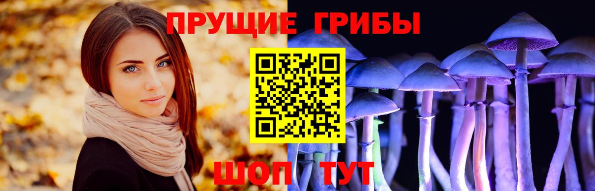 Галлюциногенные грибы Magic Shrooms Ялуторовск